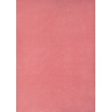 Ref. 78599 - DECALQUE FOLHA CHAPADA ROSA 1320/001 Ref. 78599 - DECALQUE FOLHA CHAPADA ROSA 1320/001